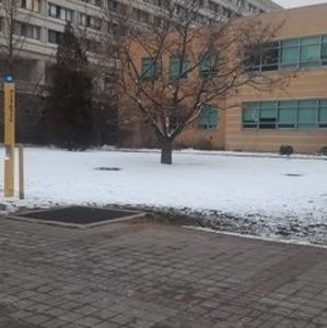 Meet your Posher, Saba